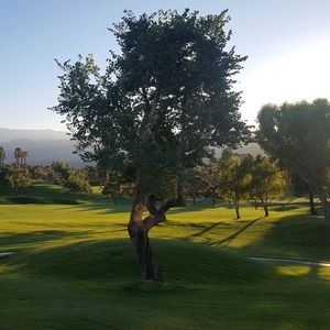 Meet your Posher, Myra